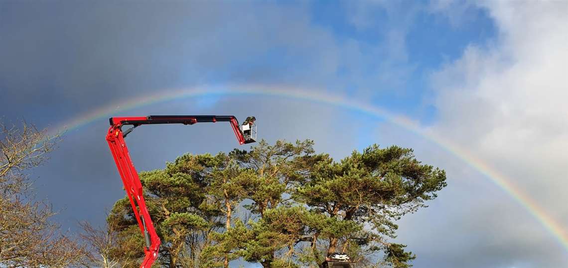 Tree surgeon Ian McClelland in the basket of his Hinowa Lightlift 26.14 Performance IIIS spider platform with the rainbow above him.